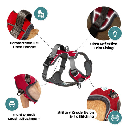 Embark Urban Dog Harness, No-Pull Reflective Trim Dog Harness for Small, Medium & Large Dogs - Heavy Duty Oxford, 2 Leash Clips & Gel Lined Handle.