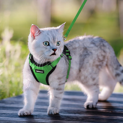 rabbitgoo Cat Harness and Leash for Walking, Escape Proof Soft Adjustable Vest