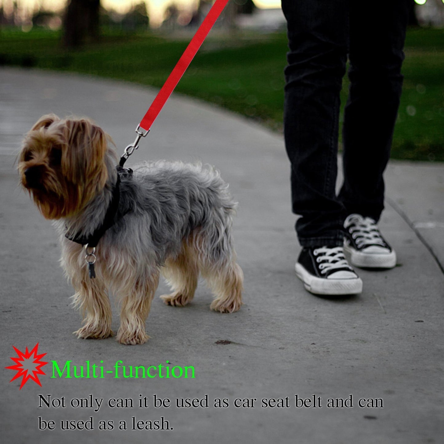 Dog Safety Leash