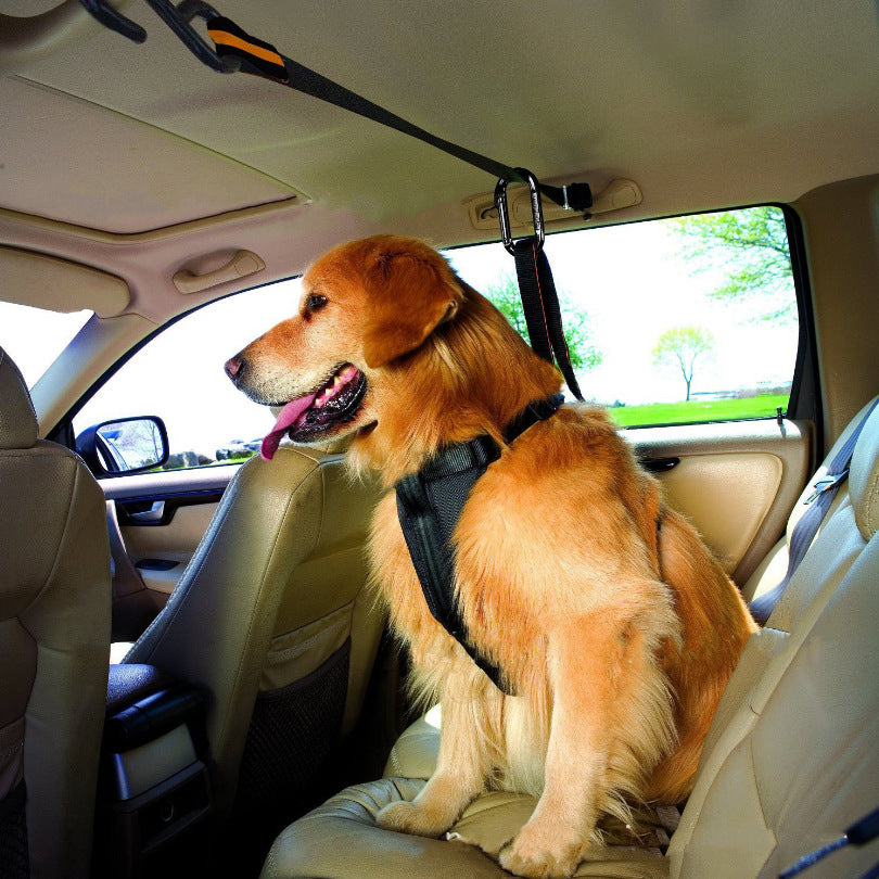 Dual-purpose Car Lanyard Safety Dog Belt