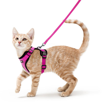 rabbitgoo Cat Harness and Leash for Walking, Escape Proof Soft Adjustable Vest