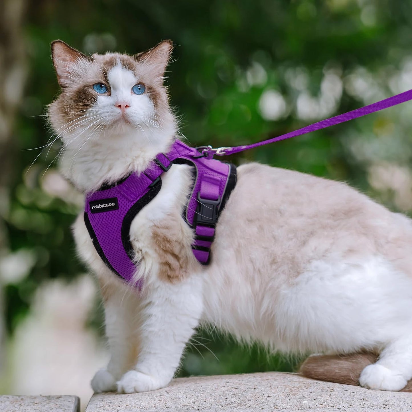 rabbitgoo Cat Harness and Leash for Walking, Escape Proof Soft Adjustable Vest