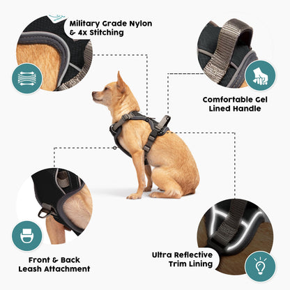 Embark Urban Dog Harness, No-Pull Reflective Trim Dog Harness for Small, Medium & Large Dogs - Heavy Duty Oxford, 2 Leash Clips & Gel Lined Handle.