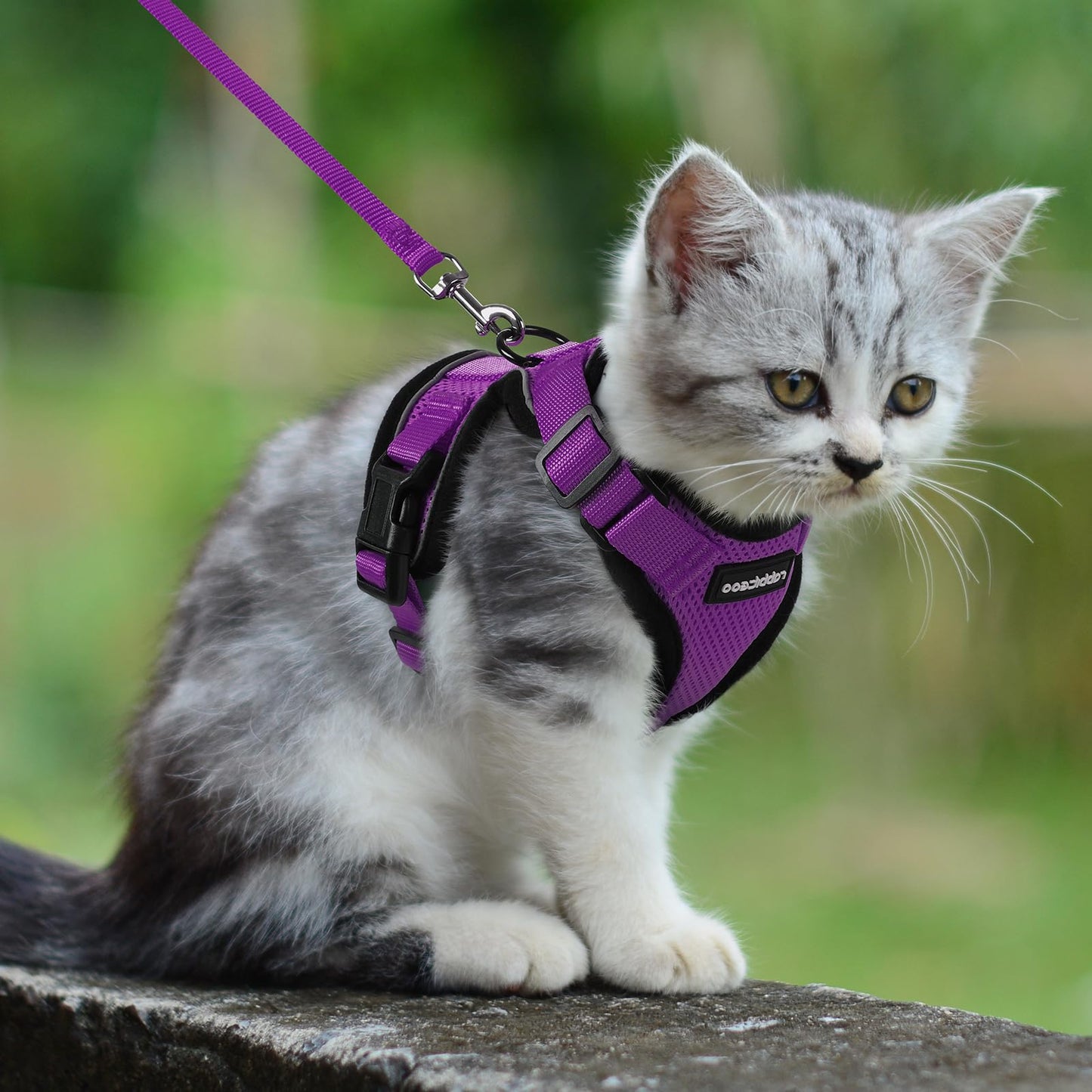 rabbitgoo Cat Harness and Leash for Walking, Escape Proof Soft Adjustable Vest