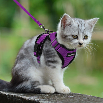 rabbitgoo Cat Harness and Leash for Walking, Escape Proof Soft Adjustable Vest