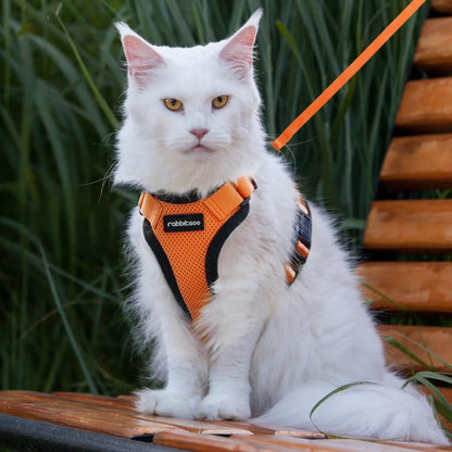 rabbitgoo Cat Harness and Leash for Walking, Escape Proof Soft Adjustable Vest