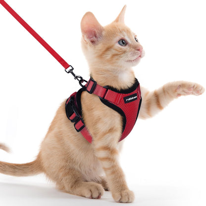 rabbitgoo Cat Harness and Leash for Walking, Escape Proof Soft Adjustable Vest