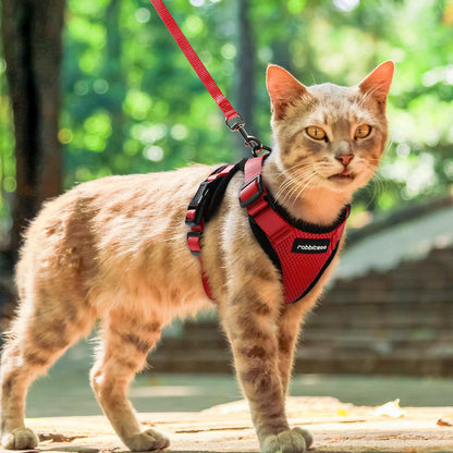 rabbitgoo Cat Harness and Leash for Walking, Escape Proof Soft Adjustable Vest