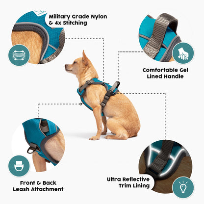 Embark Urban Dog Harness, No-Pull Reflective Trim Dog Harness for Small, Medium & Large Dogs - Heavy Duty Oxford, 2 Leash Clips & Gel Lined Handle.