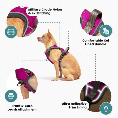 Embark Urban Dog Harness, No-Pull Reflective Trim Dog Harness for Small, Medium & Large Dogs - Heavy Duty Oxford, 2 Leash Clips & Gel Lined Handle.