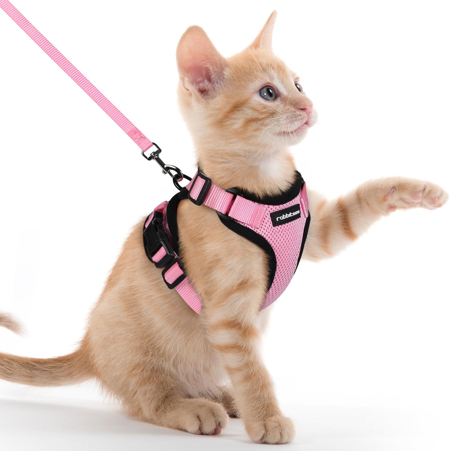 rabbitgoo Cat Harness and Leash for Walking, Escape Proof Soft Adjustable Vest