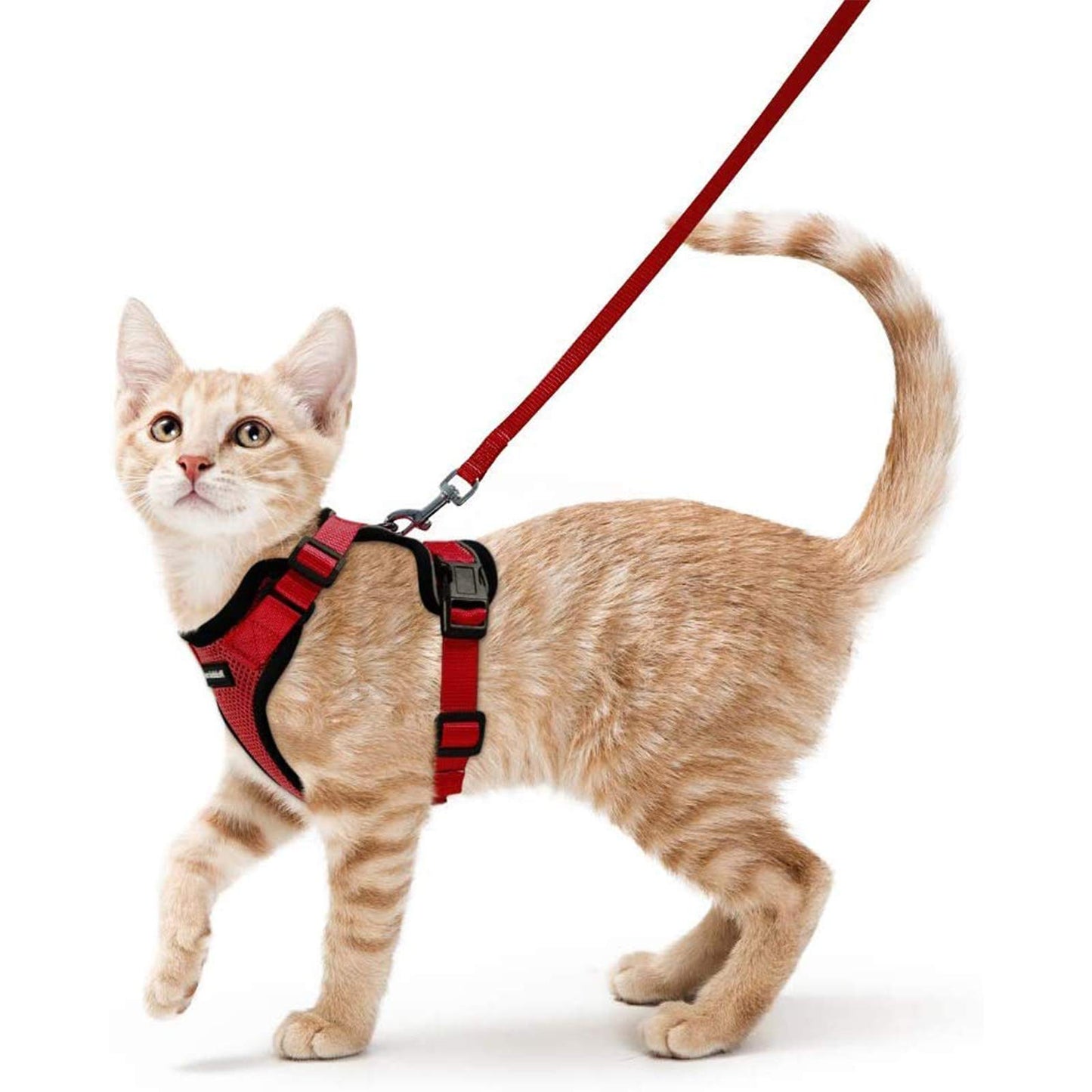 rabbitgoo Cat Harness and Leash for Walking, Escape Proof Soft Adjustable Vest