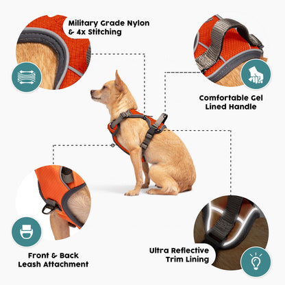 Embark Urban Dog Harness, No-Pull Reflective Trim Dog Harness for Small, Medium & Large Dogs - Heavy Duty Oxford, 2 Leash Clips & Gel Lined Handle.