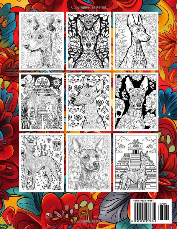 Aztec Heritage Coloring Book Bundle - Trilingual Cultural Experience