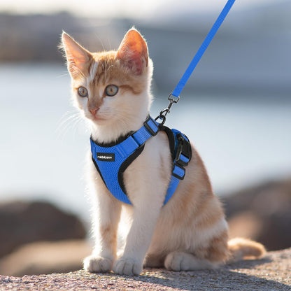 rabbitgoo Cat Harness and Leash for Walking, Escape Proof Soft Adjustable Vest