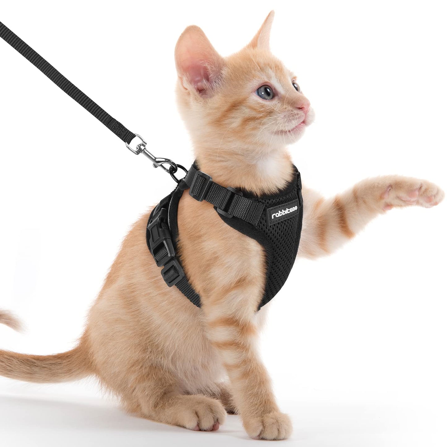 rabbitgoo Cat Harness and Leash for Walking, Escape Proof Soft Adjustable Vest