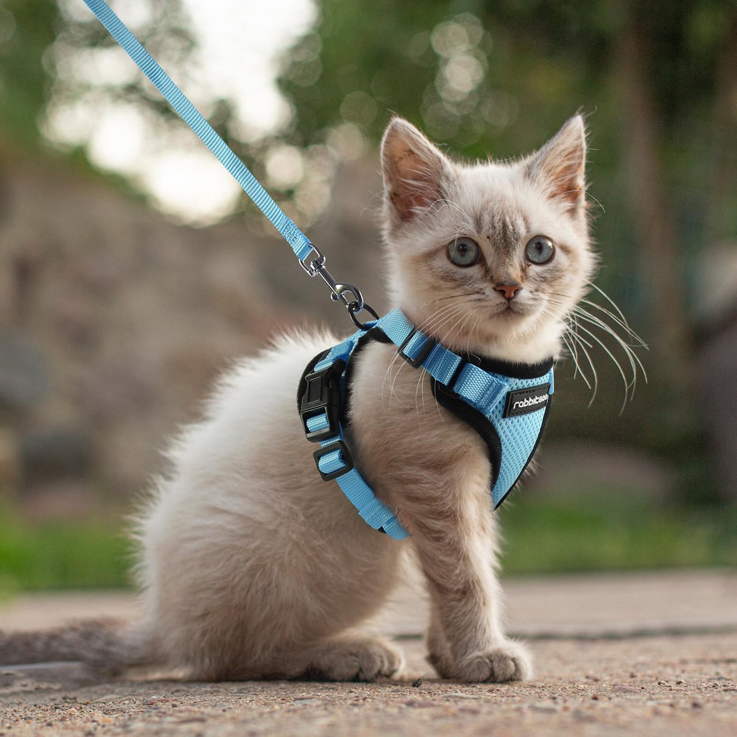 rabbitgoo Cat Harness and Leash for Walking, Escape Proof Soft Adjustable Vest