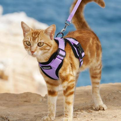 rabbitgoo Cat Harness and Leash for Walking, Escape Proof Soft Adjustable Vest