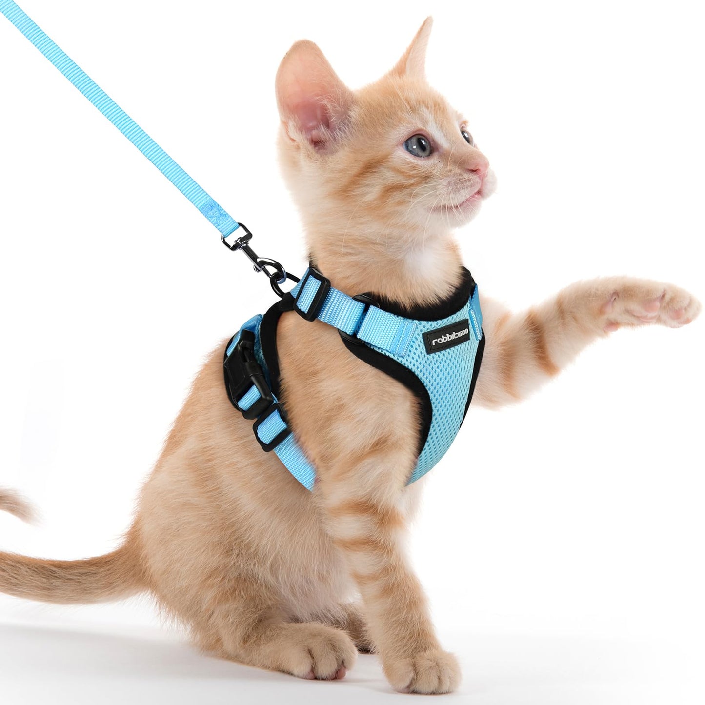 rabbitgoo Cat Harness and Leash for Walking, Escape Proof Soft Adjustable Vest