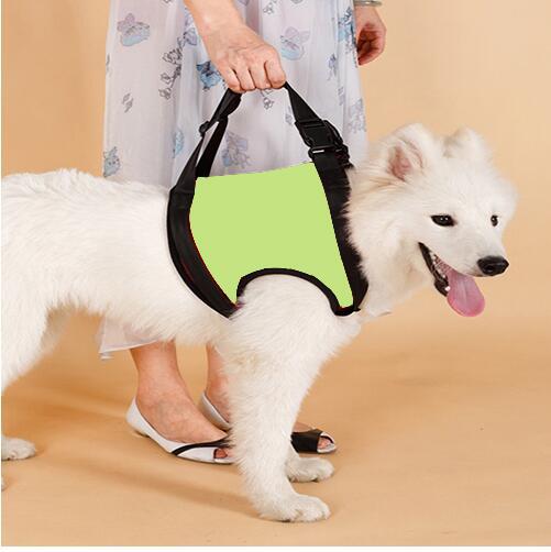 Dog Lifting Auxiliary Strap