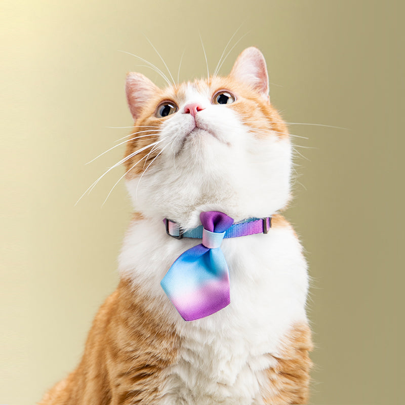 Pets Gentleman Necktie Collar