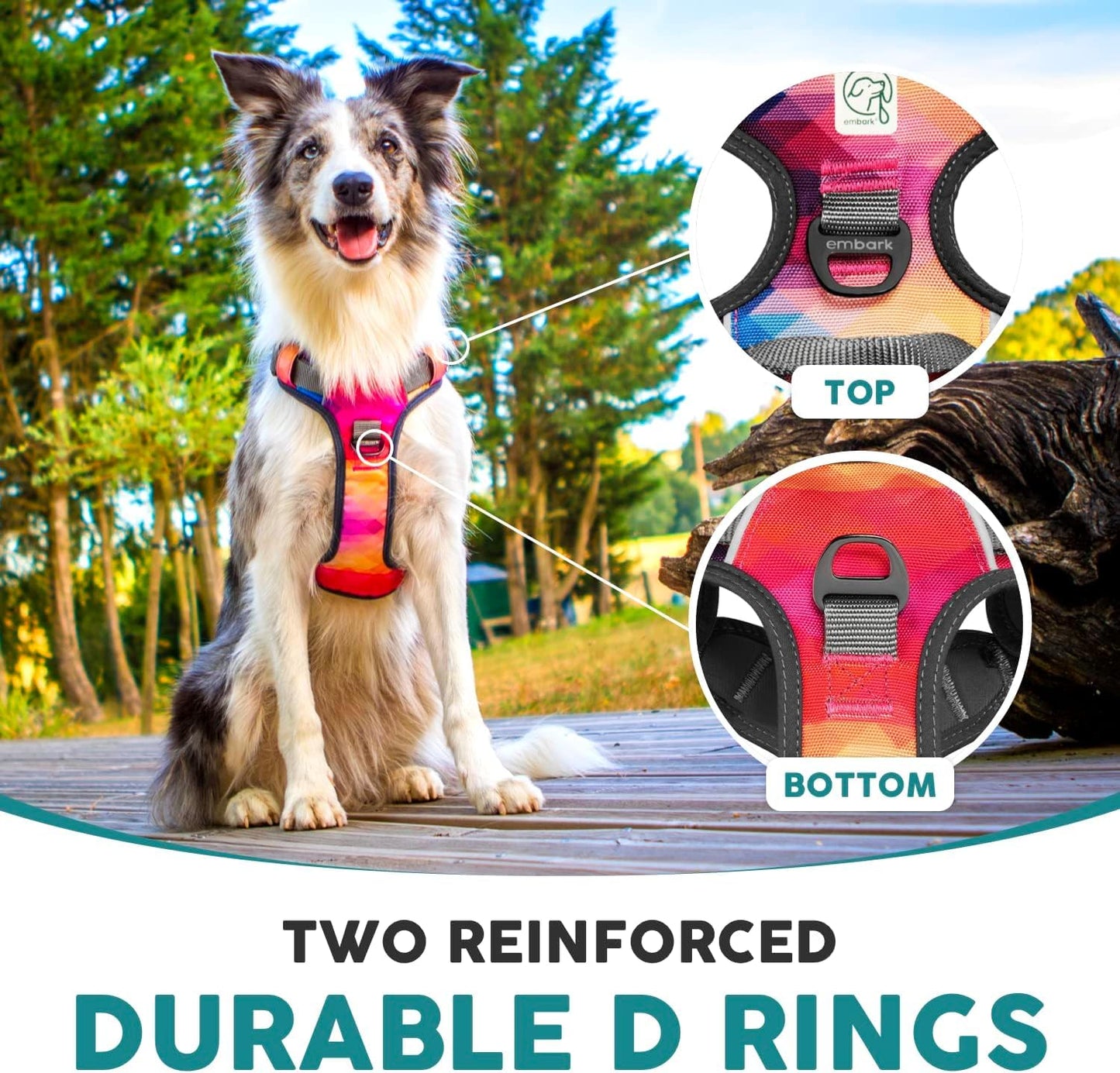 Embark Urban Dog Harness, No-Pull Reflective Trim Dog Harness for Small, Medium & Large Dogs - Heavy Duty Oxford, 2 Leash Clips & Gel Lined Handle.