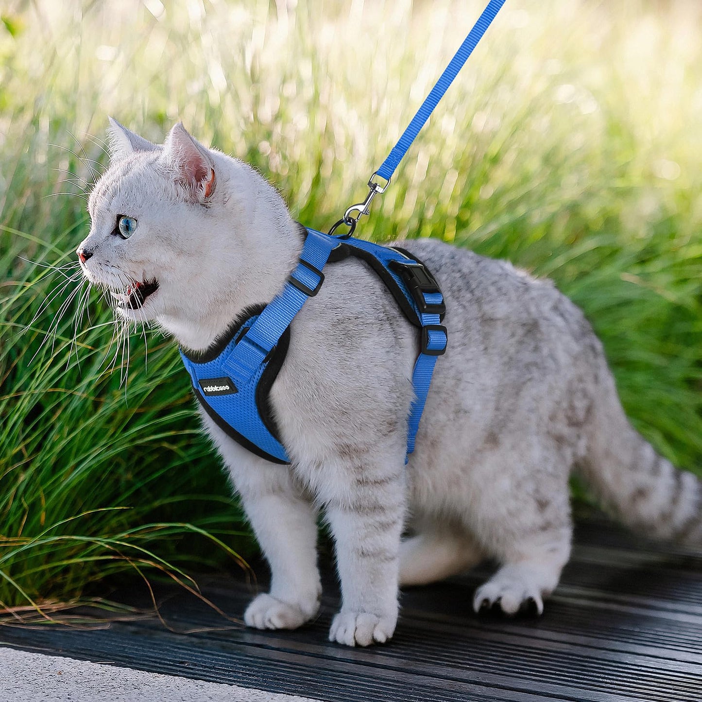 rabbitgoo Cat Harness and Leash for Walking, Escape Proof Soft Adjustable Vest