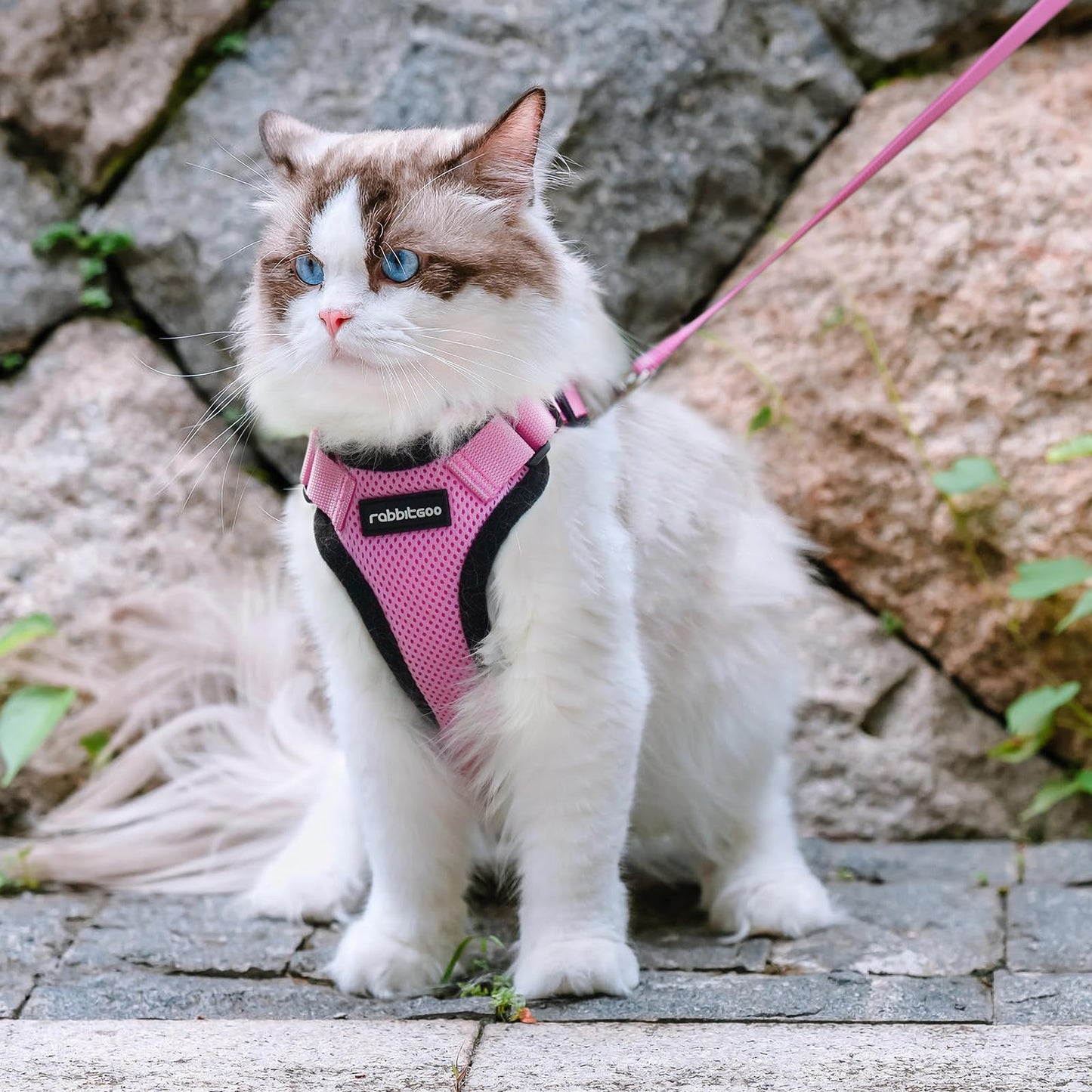 rabbitgoo Cat Harness and Leash for Walking, Escape Proof Soft Adjustable Vest