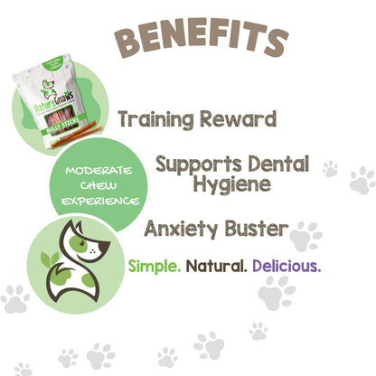 Nature Gnaws Extra Thin Bully Sticks for Small Dogs 5-6" (10 Count) - Long Lasting for Light Chewers and Puppies