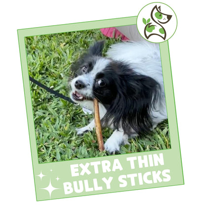 Nature Gnaws Extra Thin Bully Sticks for Small Dogs 5-6" (10 Count) - Long Lasting for Light Chewers and Puppies