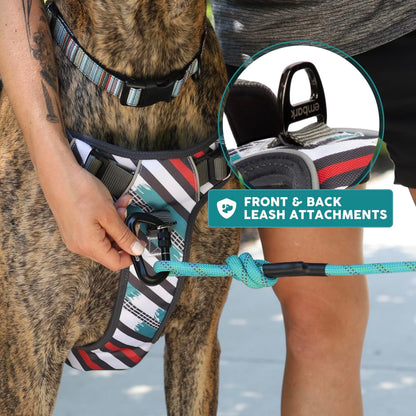 Embark Urban Dog Harness, No-Pull Reflective Trim Dog Harness for Small, Medium & Large Dogs - Heavy Duty Oxford, 2 Leash Clips & Gel Lined Handle.