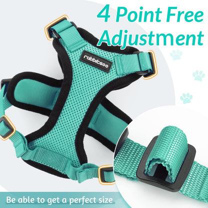 rabbitgoo Cat Harness and Leash for Walking, Escape Proof Soft Adjustable Vest