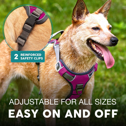 Embark Urban Dog Harness, No-Pull Reflective Trim Dog Harness for Small, Medium & Large Dogs - Heavy Duty Oxford, 2 Leash Clips & Gel Lined Handle.