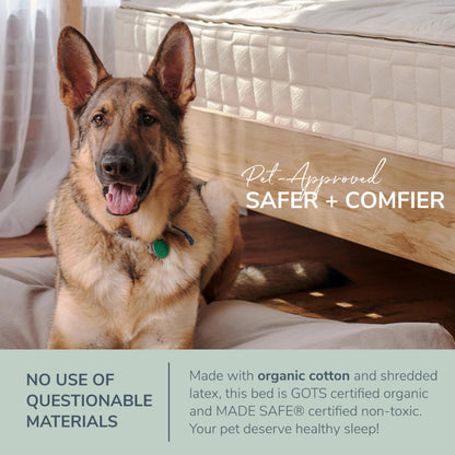 Naturepedic Organic Small Pet Bed - Super Plush Dog & Cat Beds - Ultra Supportive Dog Bed Mat - Ideal Pet Bed with No Polyurethane Foam - 23" x 17" x 3"