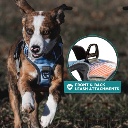 Embark Urban Dog Harness, No-Pull Reflective Trim Dog Harness for Small, Medium & Large Dogs - Heavy Duty Oxford, 2 Leash Clips & Gel Lined Handle.