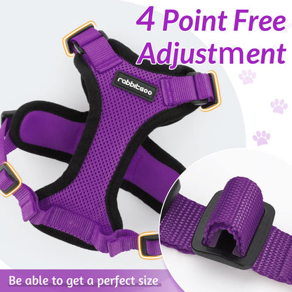 rabbitgoo Cat Harness and Leash for Walking, Escape Proof Soft Adjustable Vest