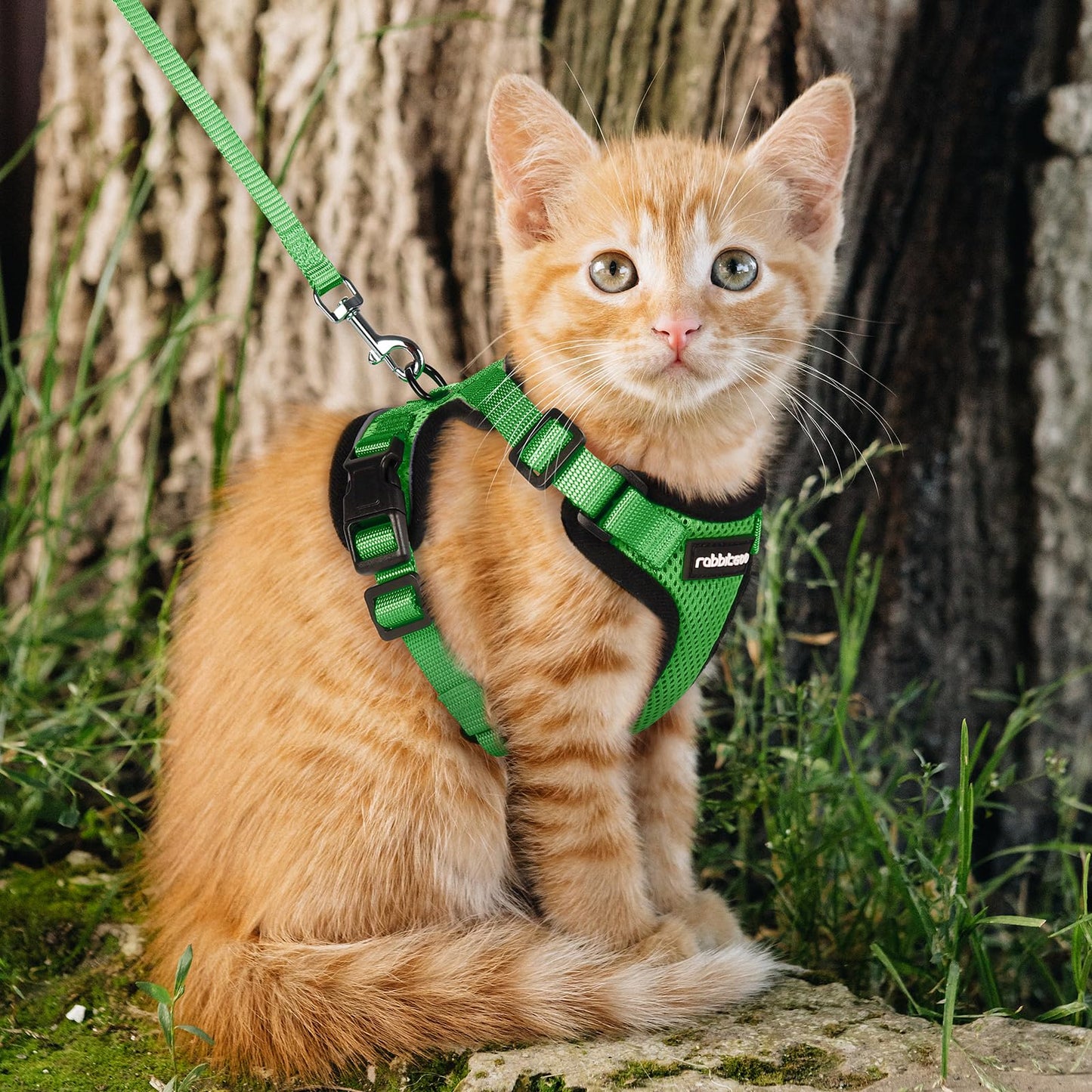 rabbitgoo Cat Harness and Leash for Walking, Escape Proof Soft Adjustable Vest