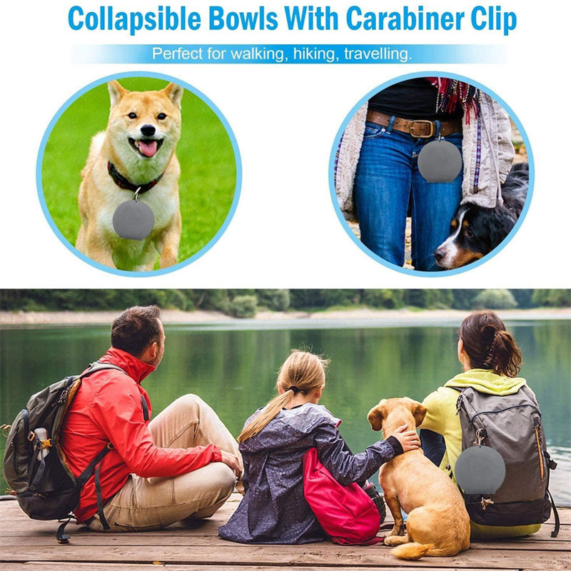 Foldable Double Dog Feeding Bowl