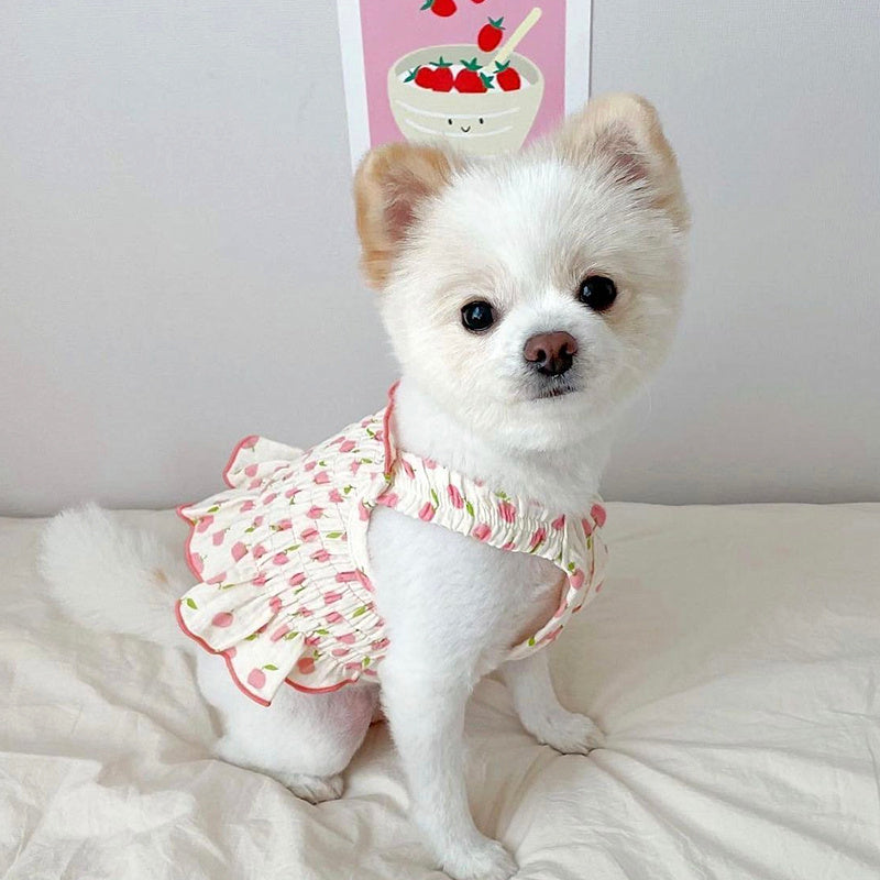 Summer Pup Dress