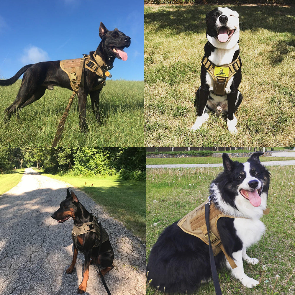 Large Military Training Dog Harness