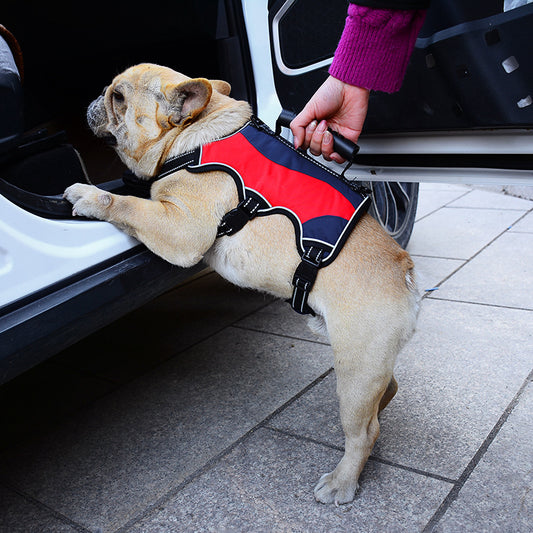 Hand Holding Rope Tactical Dog Vest