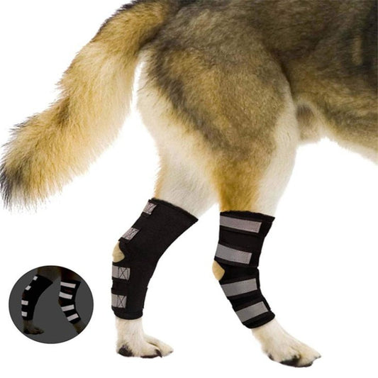 Luminous Joint Sheath Dog Knee Pad