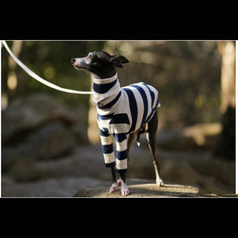 Striped Two-legged High Necked Dog Coat