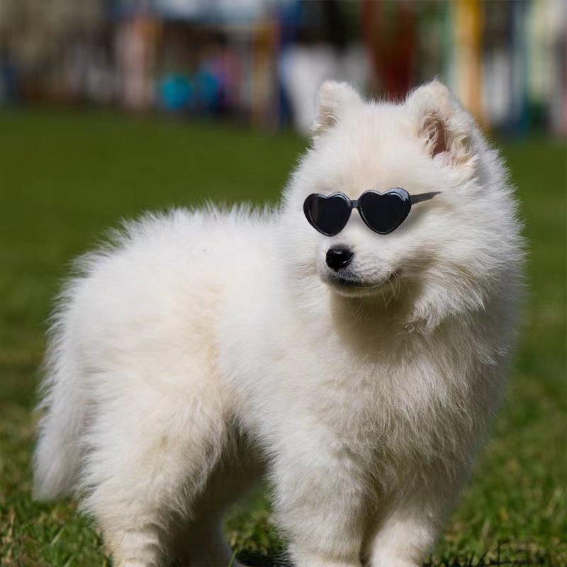 Heart Shape Pet Sunglasses