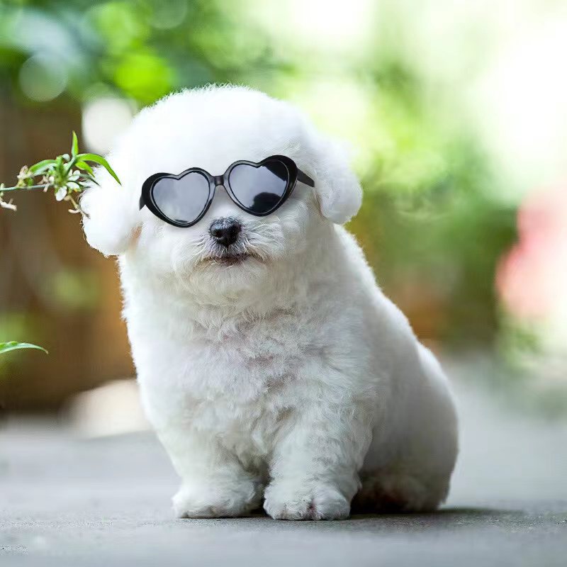 Heart Shape Pet Sunglasses