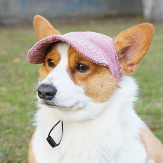 Casual Dress Up Pet Hat