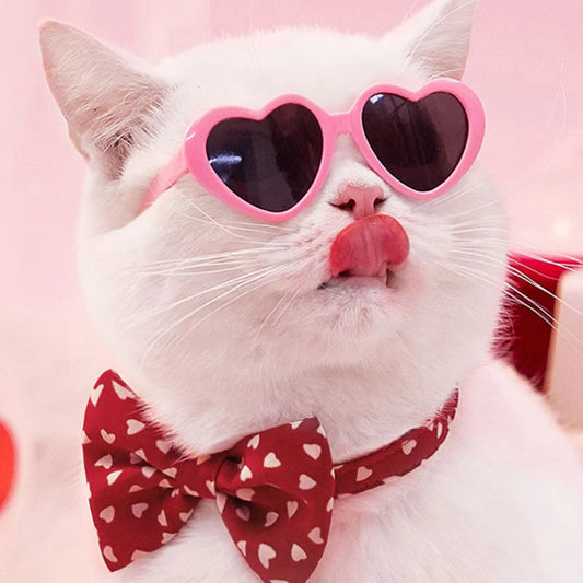 Heart Shape Pet Sunglasses