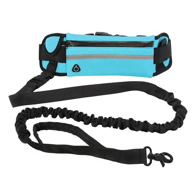 Hands Freely Walking Purse Dog Leash