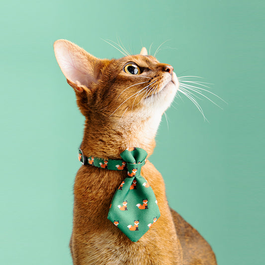 Pets Gentleman Necktie Collar