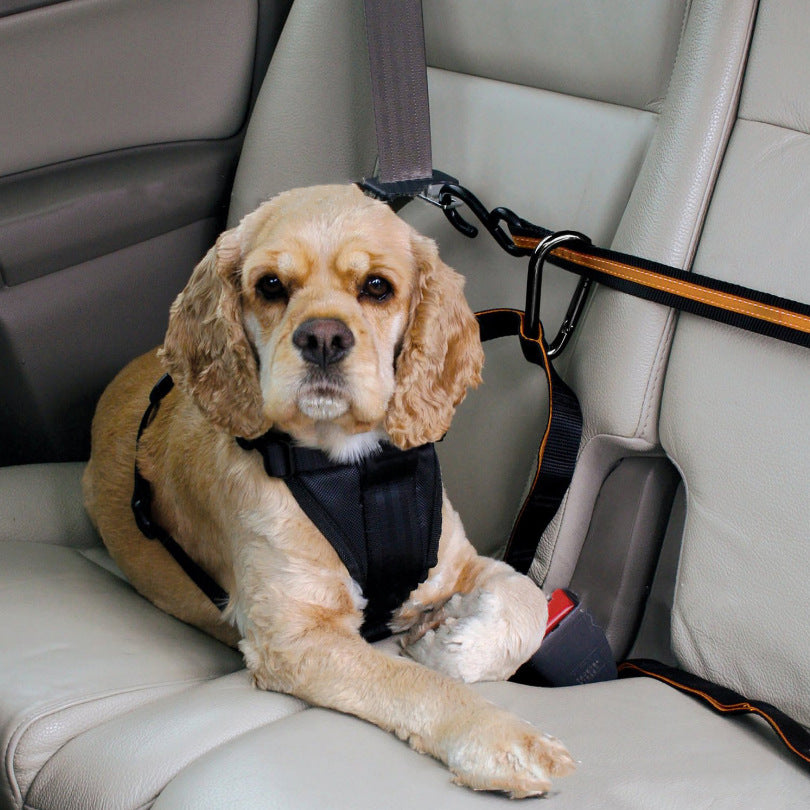 Dual-purpose Car Lanyard Safety Dog Belt